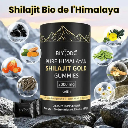 Shilajit Gummies BIYODÉ – Ton énergie naturelle au quotidien 🇲🇱