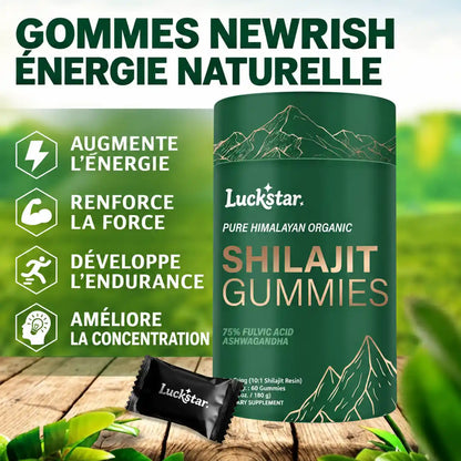 Shilajit Gummies BIYODÉ – Ton énergie naturelle au quotidien 🇨🇬